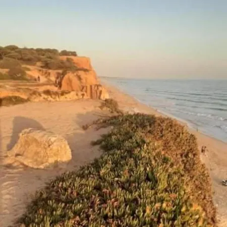 Alfamar Great Balcony Flat البوفيرا